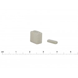 Magnes — długość 10 mm, szerokość 3 mm, wysokość 2 mm — neodymowy (N38)
