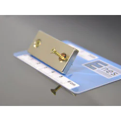 Magnes płytkowy, pod wkręt — wymiary 50x20x5 mm — neodymowy (N38) - 0010