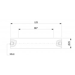 Wałek (pręt) magnetyczny wodoszczelny 25x125/2xM6w/N - 002