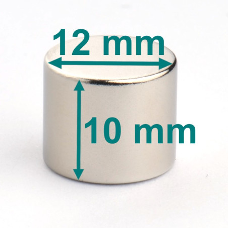 Magnes — średnica ⌀12 mm, grubość 10 mm — neodymowy (N38)