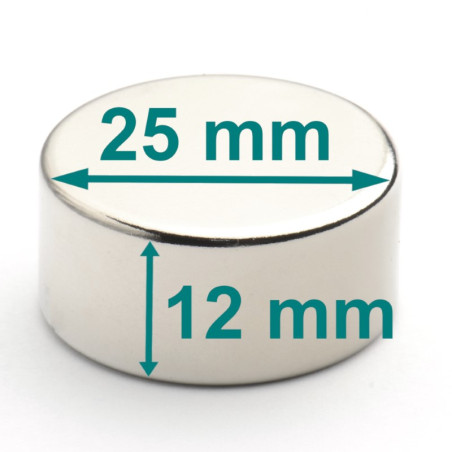 Magnes — średnica ⌀25 mm, grubość 12 mm — neodymowy (N38)