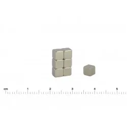 MPL 5 X 5 X 5 / N42 -...